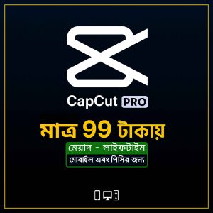 CapCut Pro